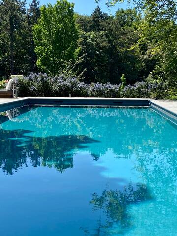 The Hague Poolvilla (between beach and citycenter gallery image 2