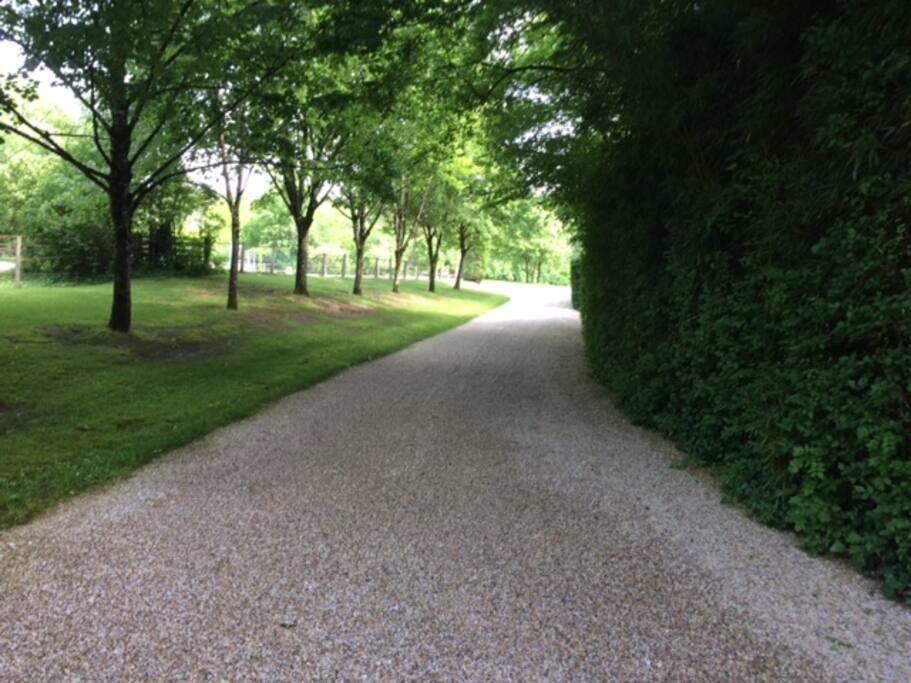 Chemin d’accès de la propriété