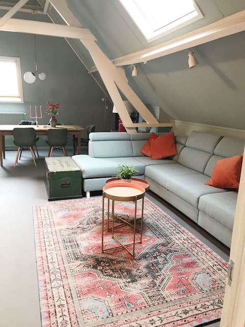 Light, roomy and comfortable city apartment