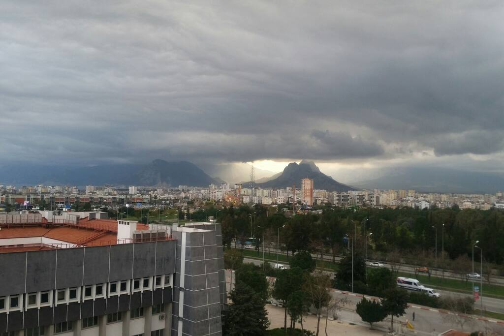 from my balcony