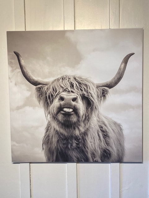 A large, monochromatic portrait of a Highland cow with prominent horns is displayed on a wooden wall. The soft texture of the cow's fur contrasts with the smooth surface of the artwork, creating a serene visual element.