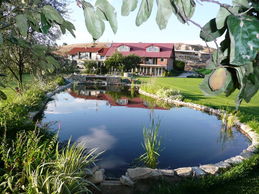 The Pond in the Garden