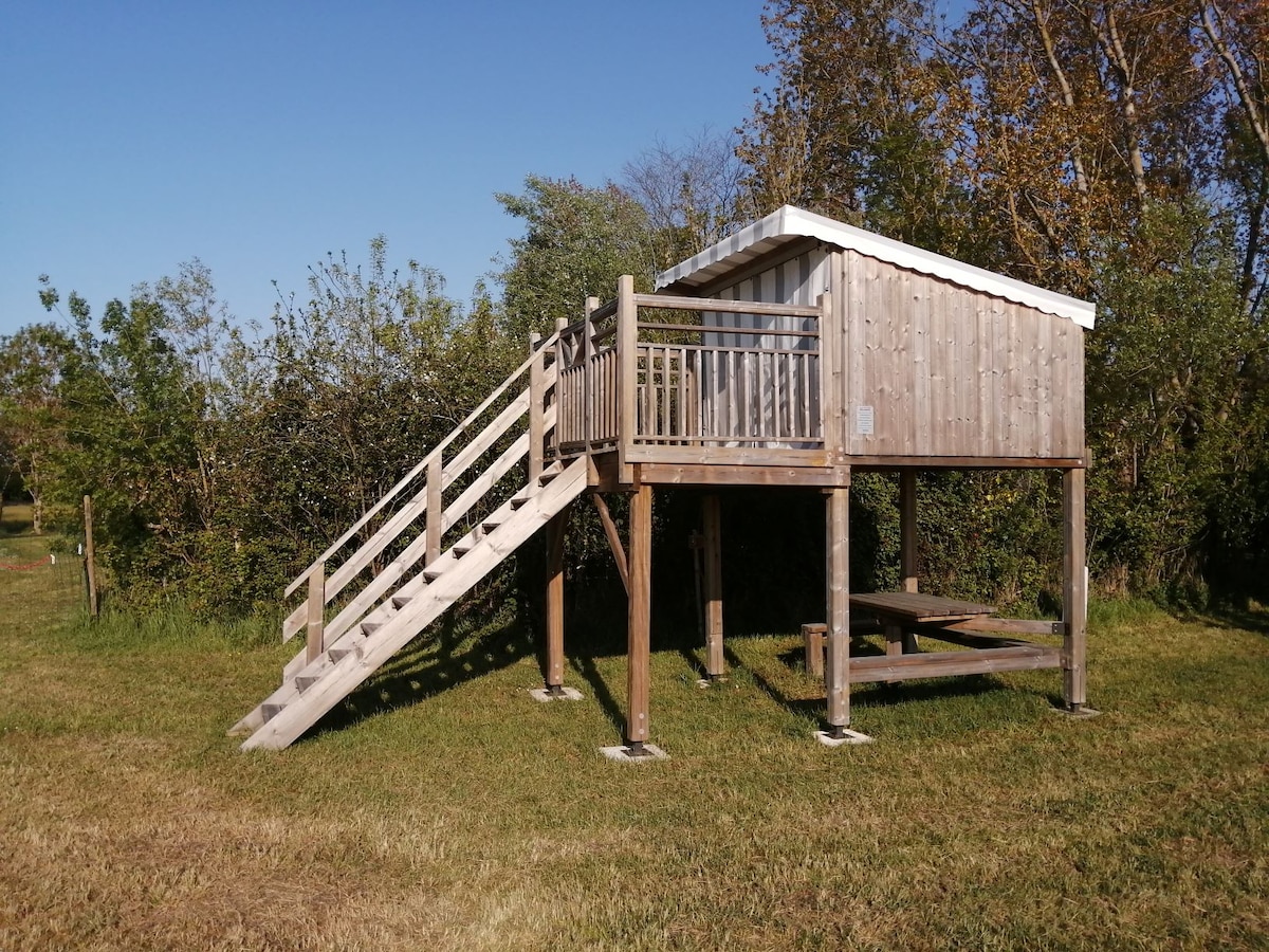 A wooden cabin is elevated on stilts, featuring a sloped staircase leading to a decked area. Natural greenery surrounds the structure, and a picnic table is positioned beneath it, providing an outdoor seating space. A clear blue sky accentuates the serene setting.