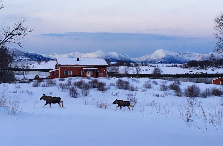 Download Hus ved havet Desktop Wallpaper Hus Ved Havet