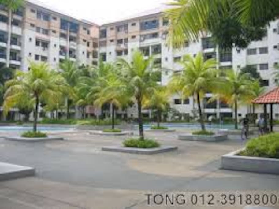 Apartment Swimming Pool Area