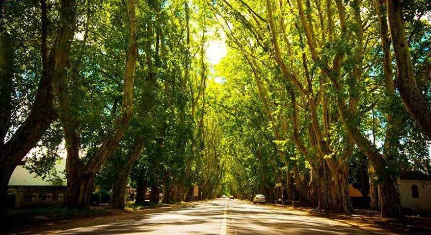 La Casona de Mimi dorm1