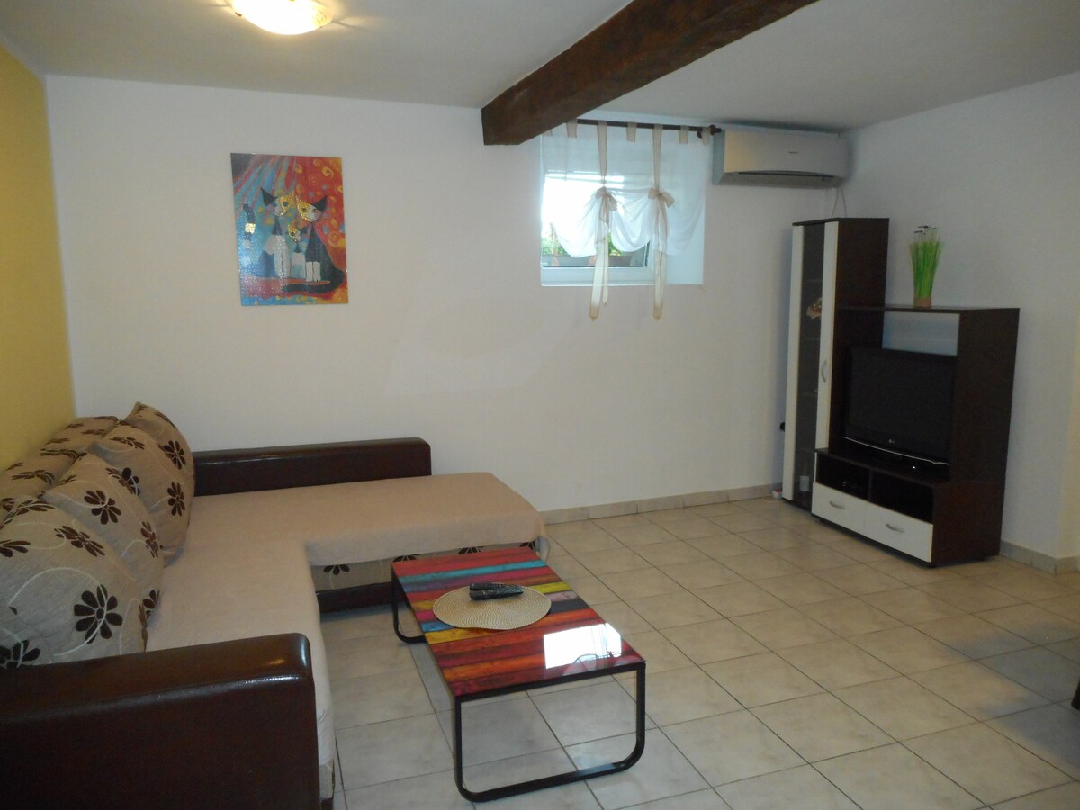 Dnevni boravak s kaučem na razvlačenje,TV-om,klima-uređajem...