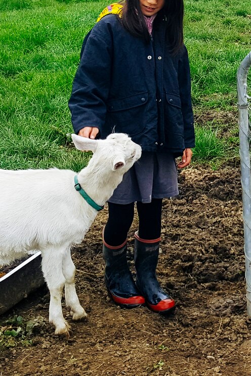 Vom Gastgeber bereitgestelltes Bild im Vollbildmodus anzeigen