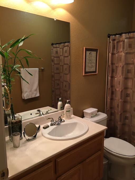 Private bathroom with shower over tub