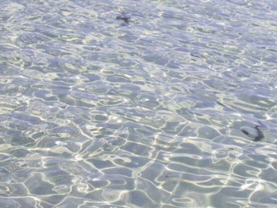 l'acqua cristallina