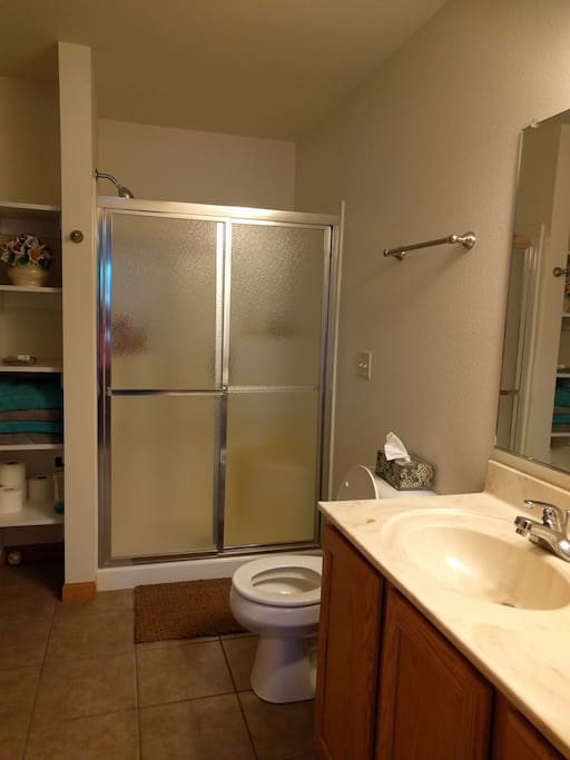 Downstairs Bathroom