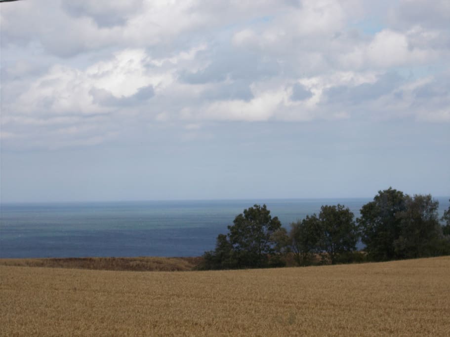 Harvest and sea views
