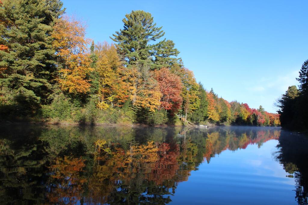 Muskoka River in the autumn