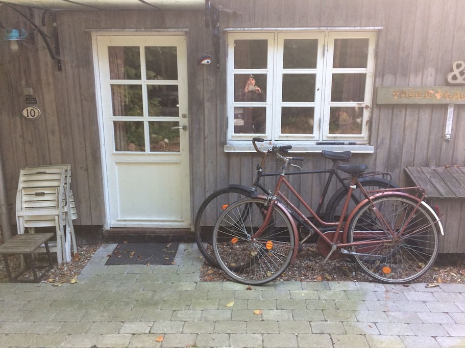 Cykler kan lejes