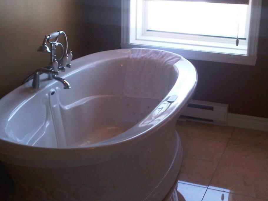 jacuzzi tub and shower