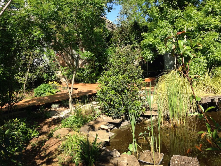 Une vue du jardin, côté bassin