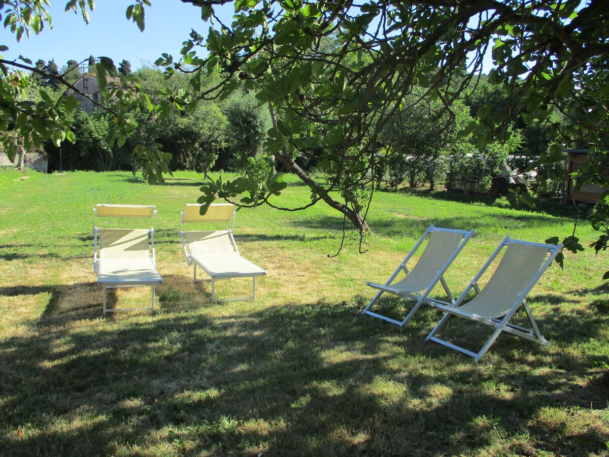 A grassy area is presented, featuring two lounge chairs positioned under a tree, providing shaded seating. A backdrop of greenery is visible, with additional trees enhancing the serene outdoor setting.