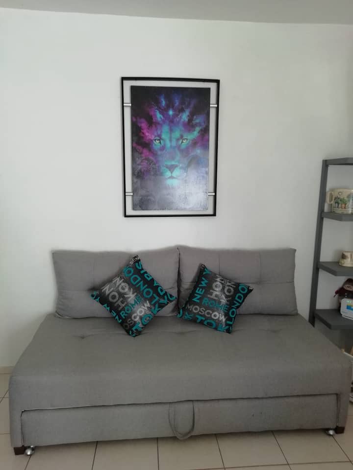 Krevat tek divan 80 CM i gjerë me bazë rrëshqitëse të rehatshme për 2 persona