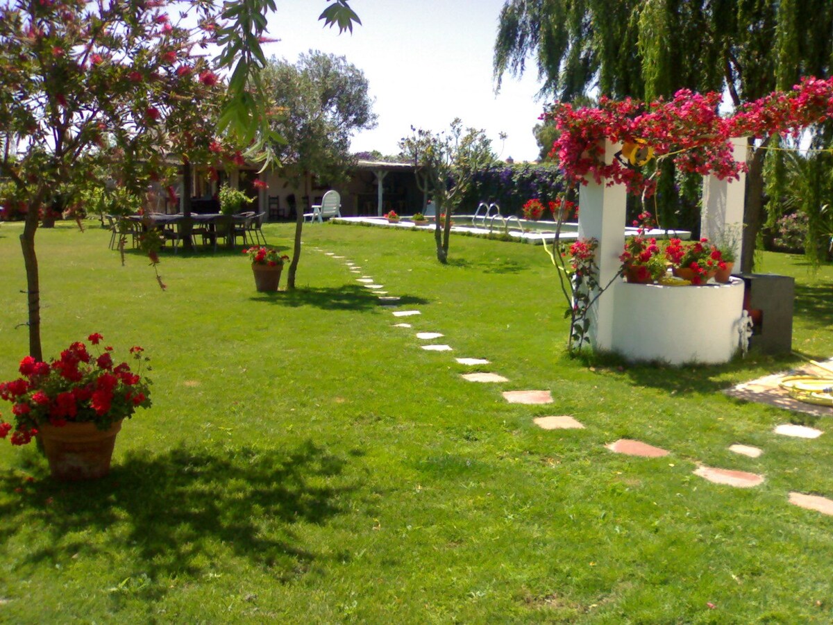 A spacious garden is showcased, featuring lush green grass and neatly arranged stepping stones. Vibrant flower pots add color to the landscape, while a gazebo adorned with flowers stands at the forefront. In the background, a swimming pool is visible among trees and seating options.