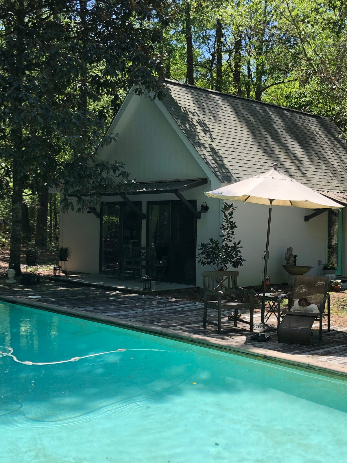 A cottage is nestled among the trees, with large glass doors providing a view of the poolside area. A shaded umbrella stands next to a seating arrangement, creating a serene outdoor space. The calm blue pool reflects the greenery of the surrounding woods.