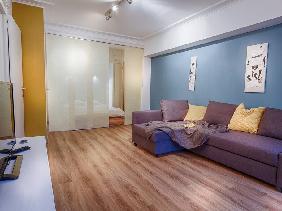 Living room with sofa-bed and TV