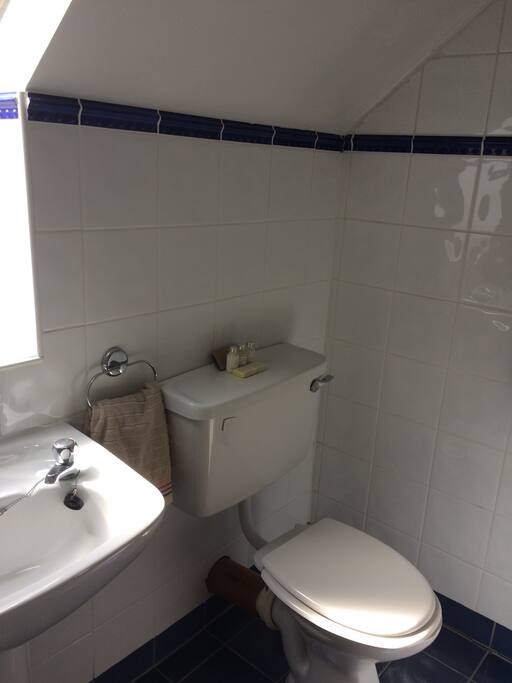 Ensuite with Electric Shower