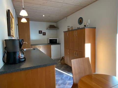 Successful Airbnb property: Herning Municipality good space and scenic location in Herning
