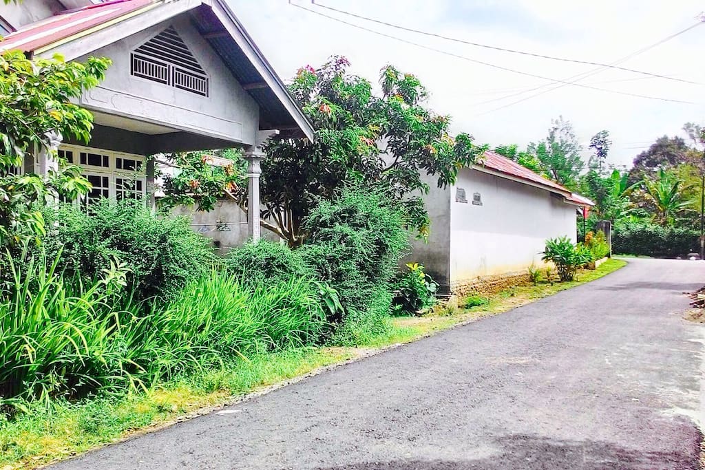 Latar belakang jalan masuk Utama (Jalan Depati Renasin)