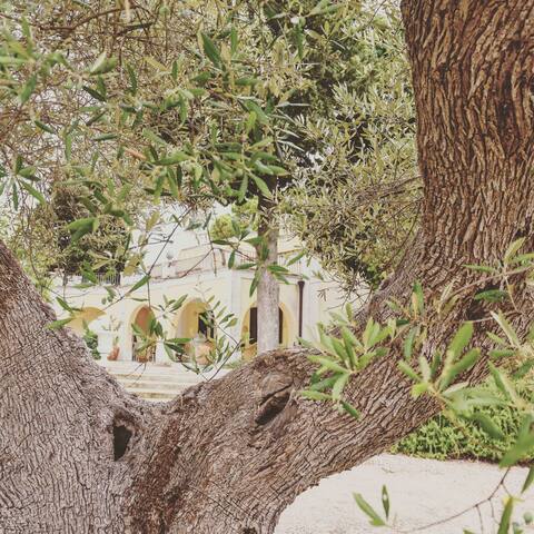 Villa Luciana nel cuore della Valle d’Itria gallery image 5