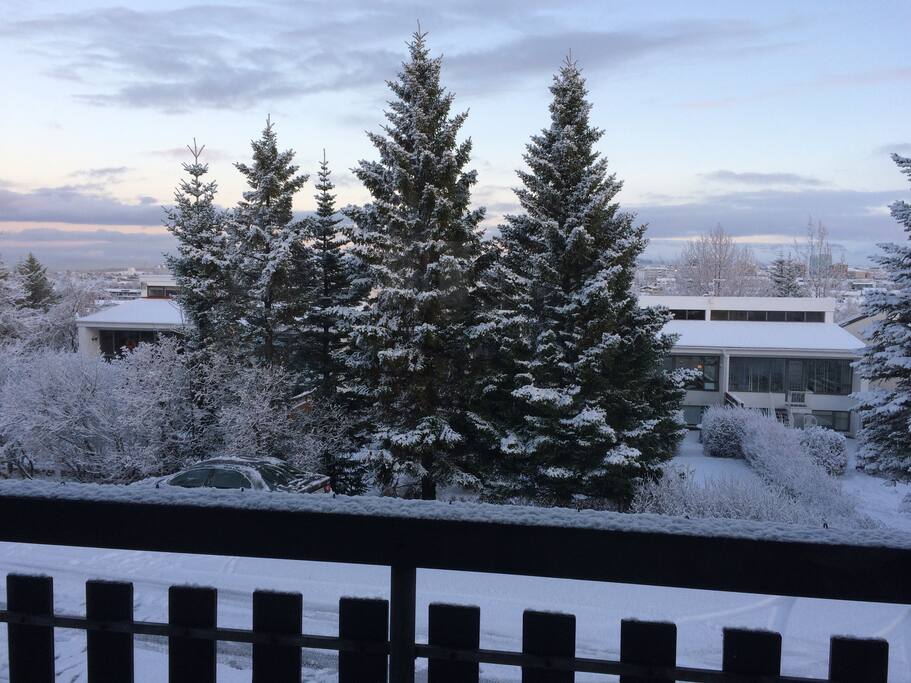 the view from the balcony