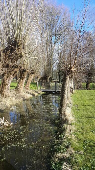 Het bruggetje naar de boomgaard.
