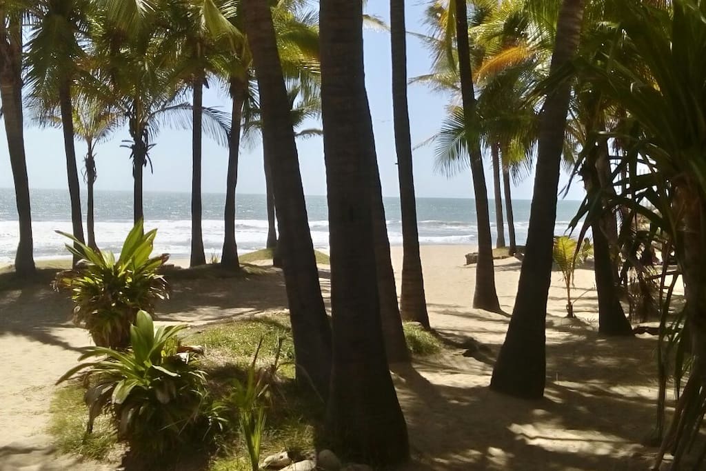 Area Comun de Acampado Frente a Playa