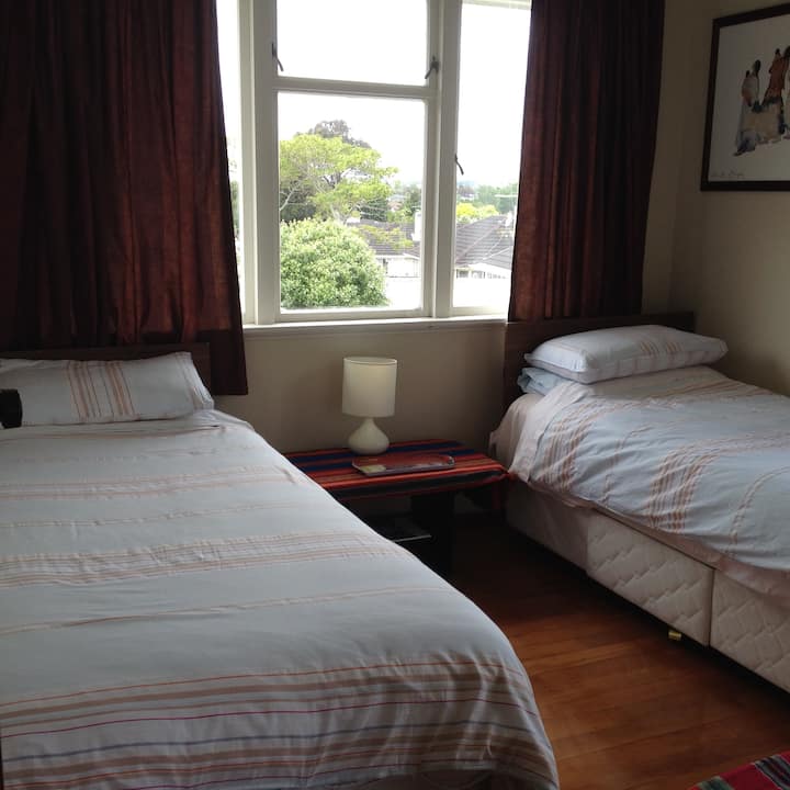 Twin beds, ideal for a travelling pair of friends.