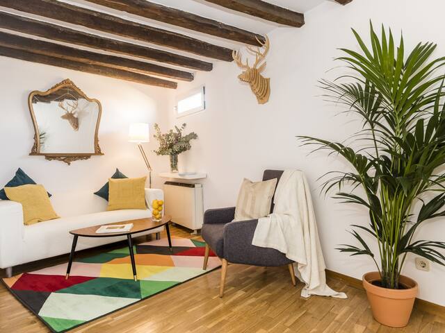 PENTHOUSE PLAZA MAYOR **Bohème Apartment**