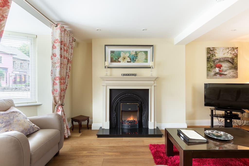 Electric Fire, Flat screen TV with Multi Channels