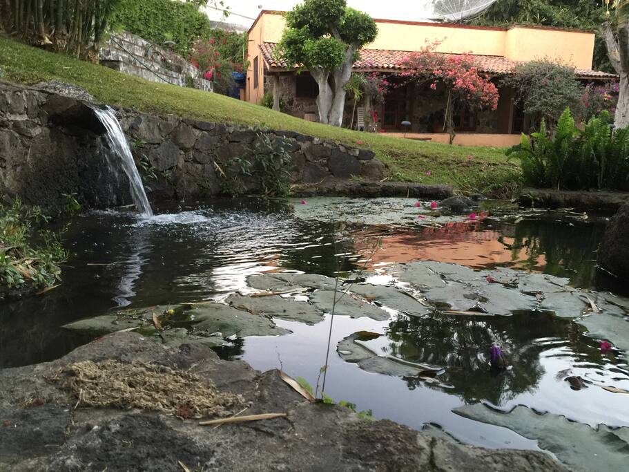 Natural Spring pond