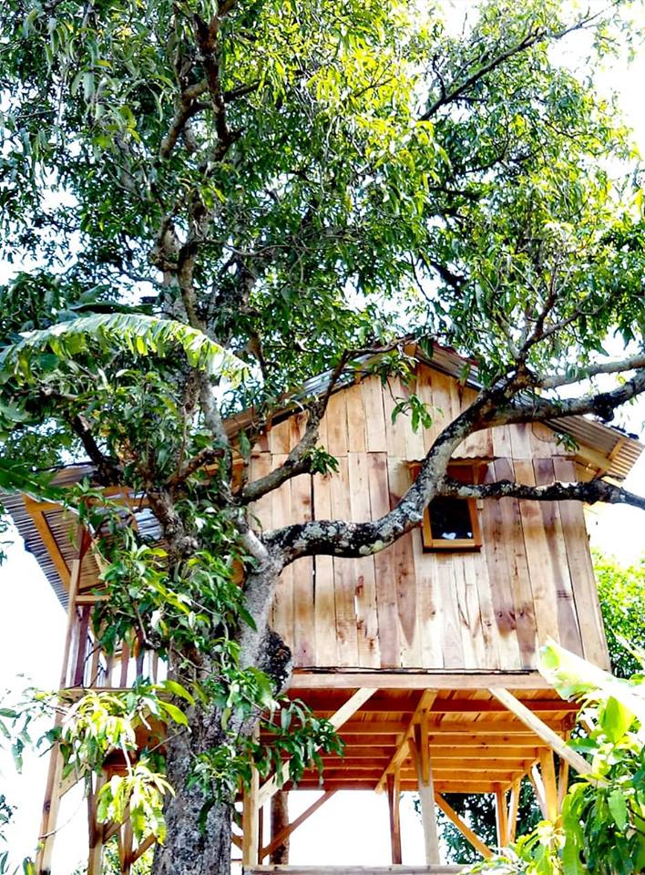 A wooden treehouse is nestled among green foliage, supported by a wooden platform. The structure features a sloped roof and a small window, blending harmoniously with the surrounding natural environment.