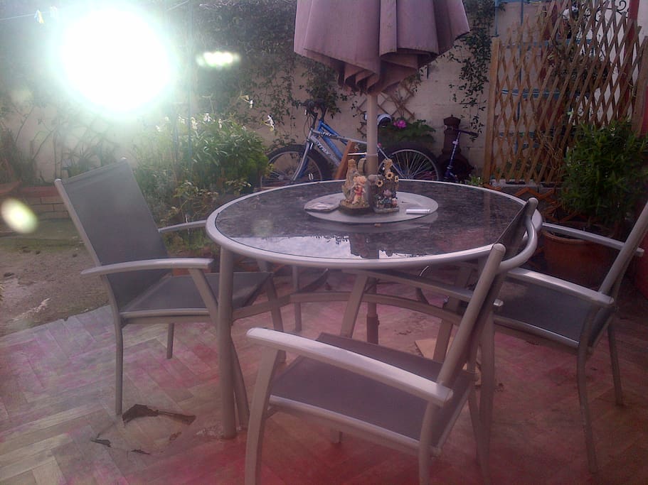 back garden