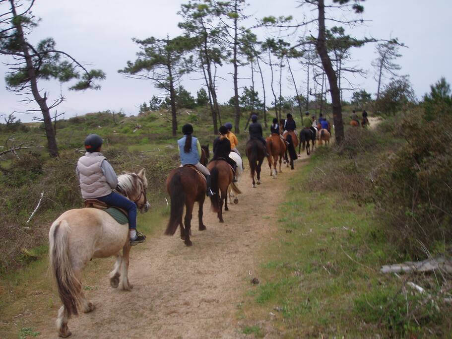 promenade à cheval