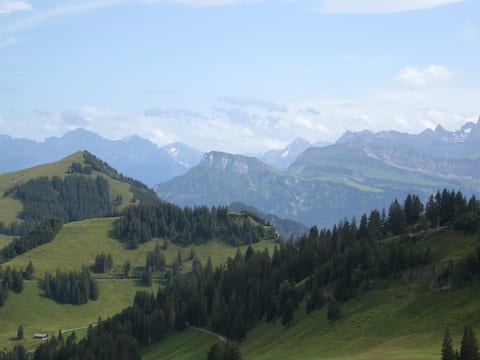 Holidays on the queen of the mountains