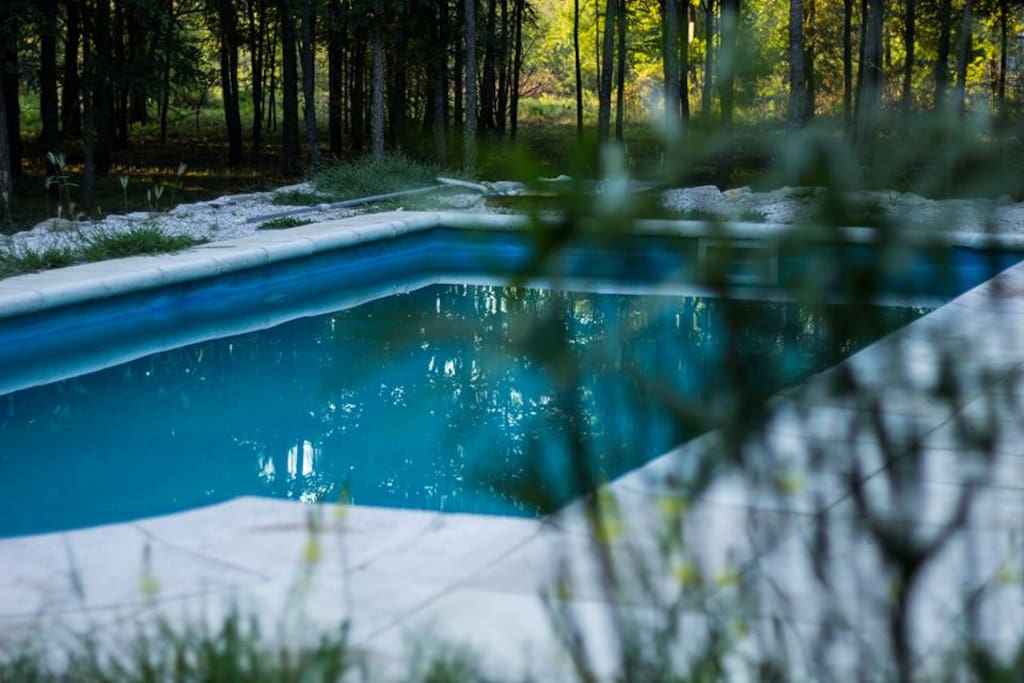 Piscina libre