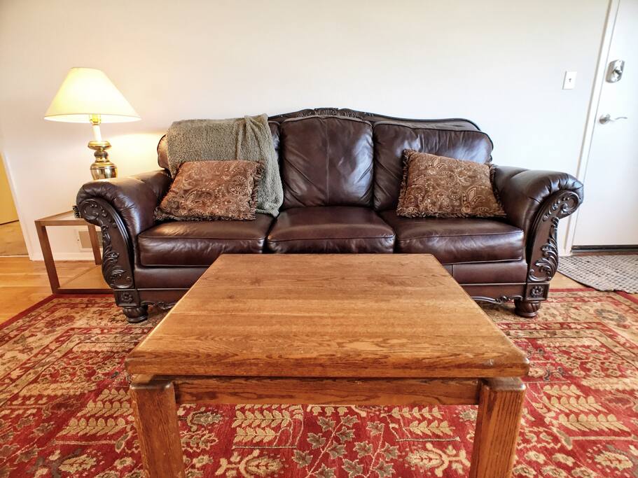 Comfortable leather sofa