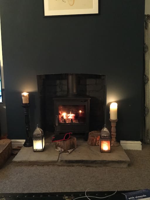 Real log burner