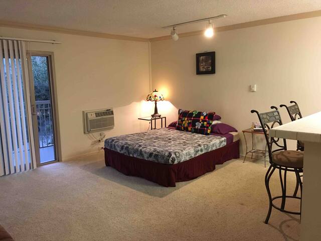 Spacious Studio With Parking!!! D8