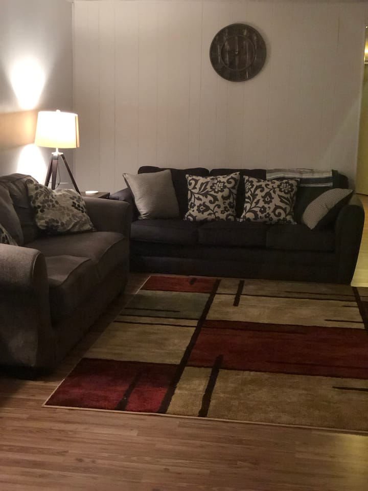 Kitanda cha sofa na kochi sebuleni na TV na kinapeperusha DVD. hakuna kebo nyumbani