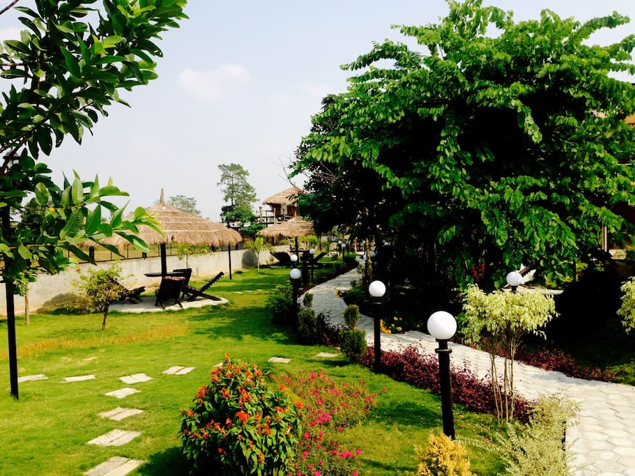 Garden