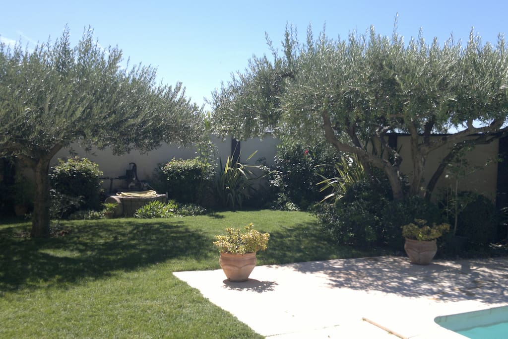 jardin