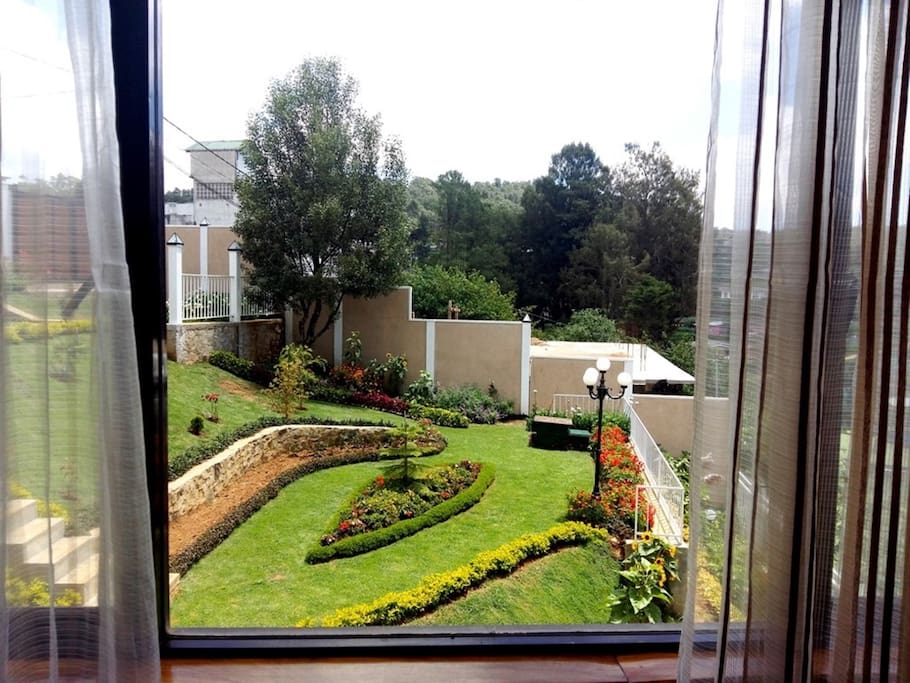 View of the garden from Jasmine
