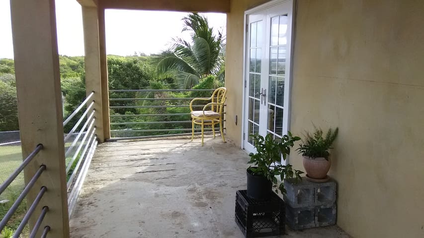 Green room with a sea view.