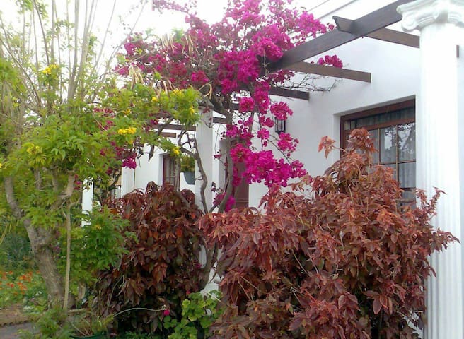 Tilla’s Place, home away from home.